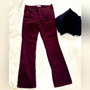 Burgundy, corduroy, boot cut pants